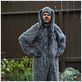 Wilfred (2011) : foto Jason Gann