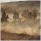 Oro negro : foto Jean-Jacques Annaud