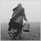 The Turin horse : foto