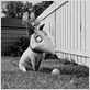 Frankenweenie : foto Tim Burton