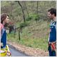 Prince Avalanche : foto Emile Hirsch, Paul Rudd