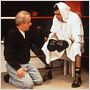 The Boxer