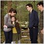 La saga Crepúsculo: Amanecer - Parte 2