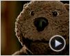 El castor (The Beaver) Tráiler (2) El castor (The Beaver) Tráiler (2)