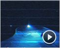 Paranormal Activity 2 Clip (9)