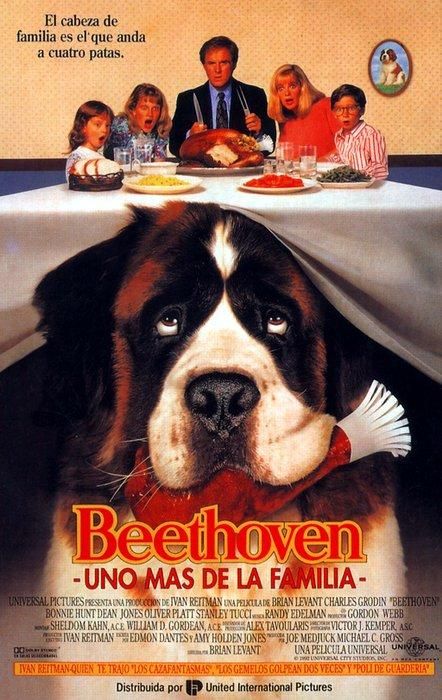 Beethoven 3 De Excursión Con La Familia