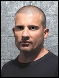Dominic Purcell