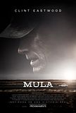 Foto: Mula Foto: Mula