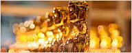 Guía para seguir los Oscar 2011: Nominaciones