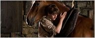 'War Horse (Caballo de batalla)': nuevo spot para televisión