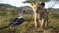 'El Rey León': Simba adulto, Timón y Pumba, lo mejor de las últimas imágenes del 'remake' de Disney 'El Rey León': Simba adulto, Timón y Pumba, lo mejor de las últimas imágenes del 'remake' de Disney