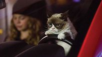 Recordamos 'Grumpy Cat’s Worst Christmas Ever', la película protagonizada por la gata más famosa de Internet Recordamos 'Grumpy Cat’s Worst Christmas Ever', la película protagonizada por la gata más famosa de Internet