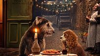 Comienza la aventura perruna con el tráiler de 'La dama y el vagabundo' Comienza la aventura perruna con el tráiler de 'La dama y el vagabundo'
