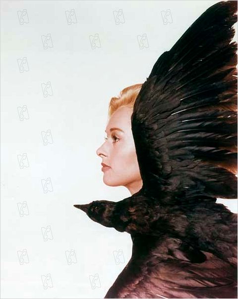 Los pájaros : foto Alfred Hitchcock, Tippi Hedren