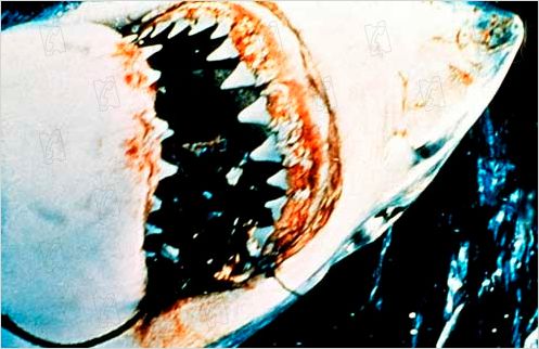Tiburón : Foto Steven Spielberg