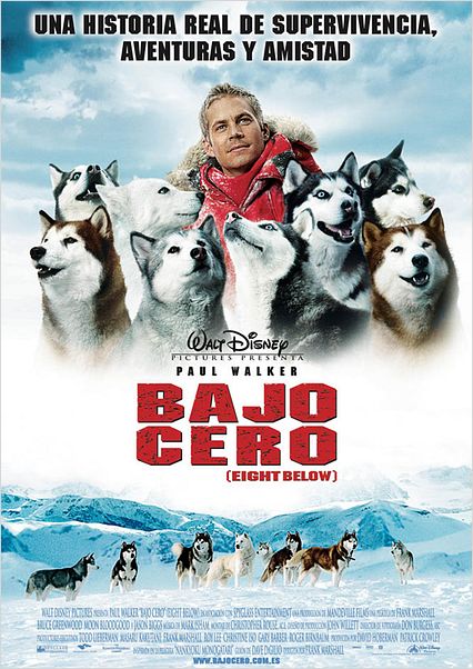 Bajo cero : cartel