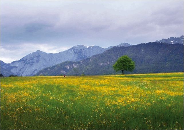 Vivir de la luz : foto