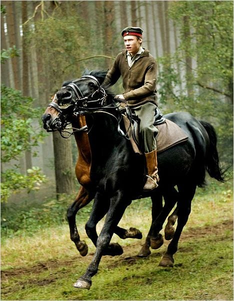 War Horse (Caballo de batalla) : Foto David Kross, Steven Spielberg