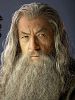Ian McKellen Ian McKellen