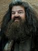 Robbie Coltrane Robbie Coltrane