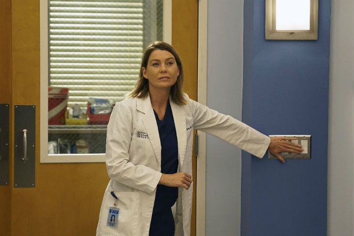 Anatomía de Grey